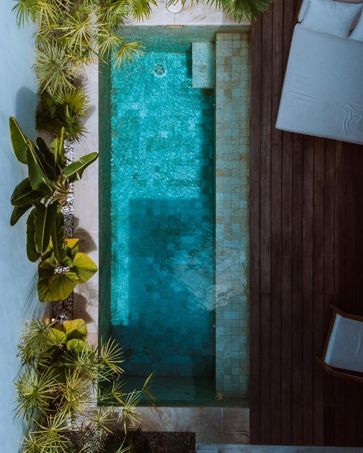 Neptune Adults Only Gym And Recovery Access Villa *